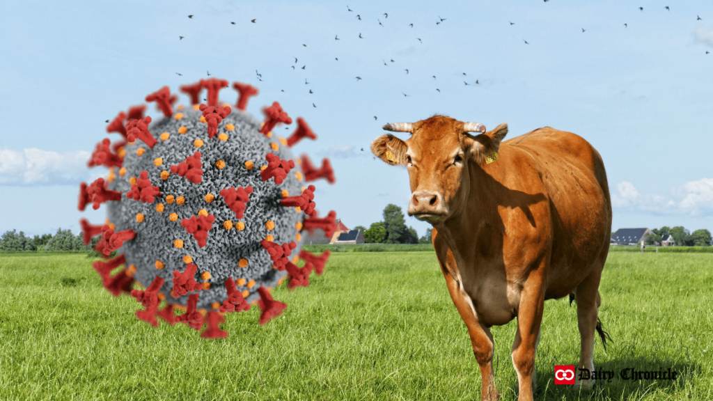 Virus structure with a cow standing on green ground