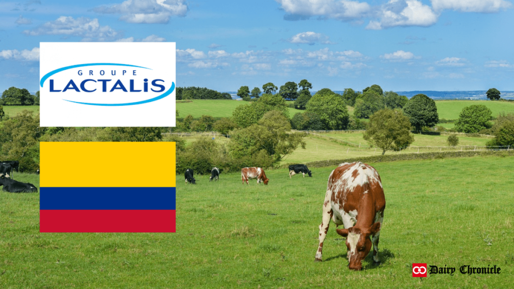 Lactalis logo and Colombian flag with dairy cattle in a green field