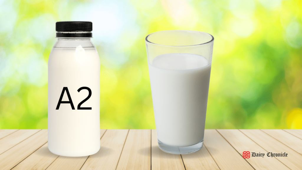 Two glasses of milk: regular and A2 milk