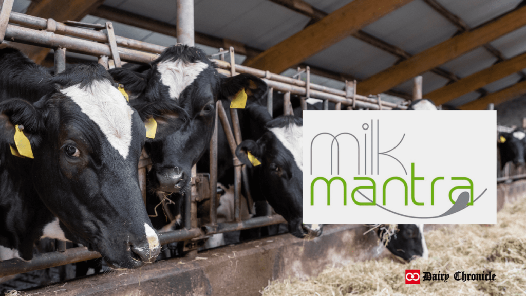 Milk Mintra brand logo with cows in a barn