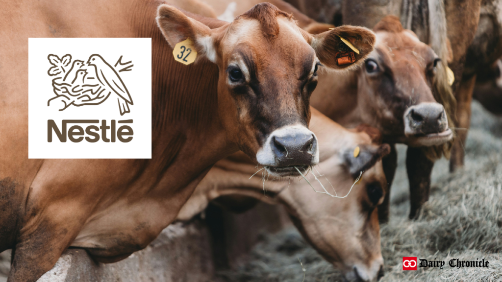 Nestle logo with a background of a group of calf