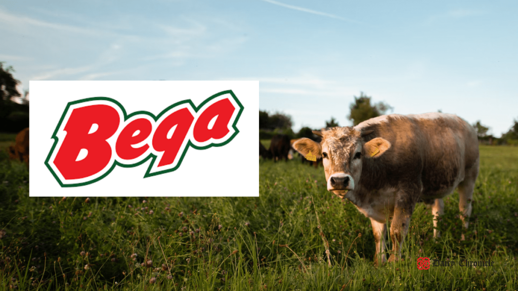 Bega Cheese's chairman Barry Irvin advises on delayed milk price recovery with Bega logo and cow in the background.