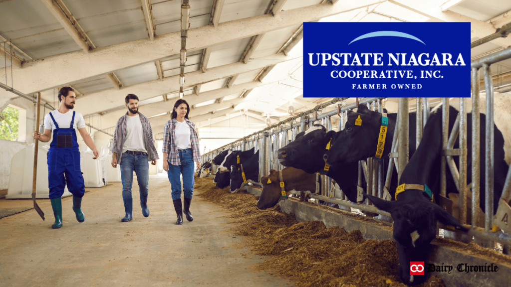 Upstate Niagara Cooperative logo with a barn full of dairy cattle in the background, showing two men and one woman working in the barn.