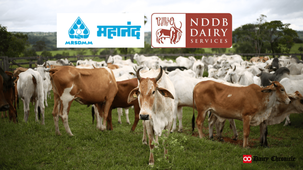 Mahanand Dairy now managed by NDDB, sparking operational and farmer concerns.