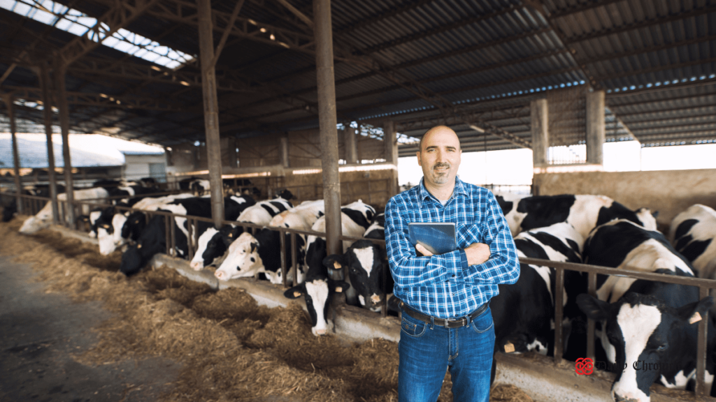 Man Standing in Front of Cow Barn Representing Modern Milking Parlour Designs