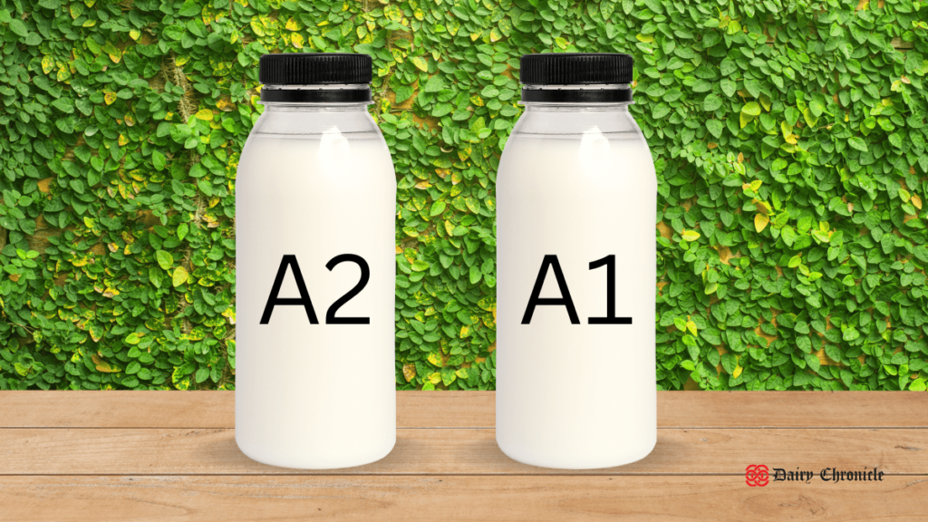 A1 and A2 Milk Bottles with Health Comparison