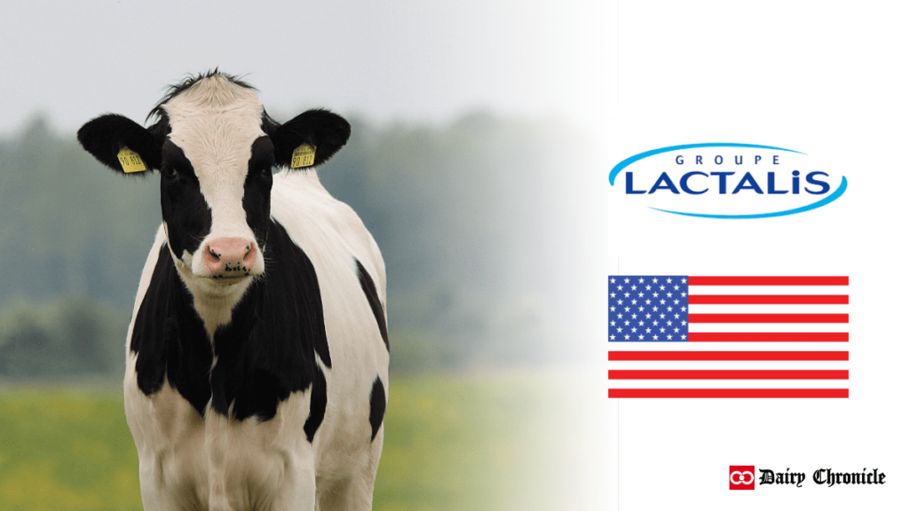 Lactalis logo and USA flag beside a standing cow