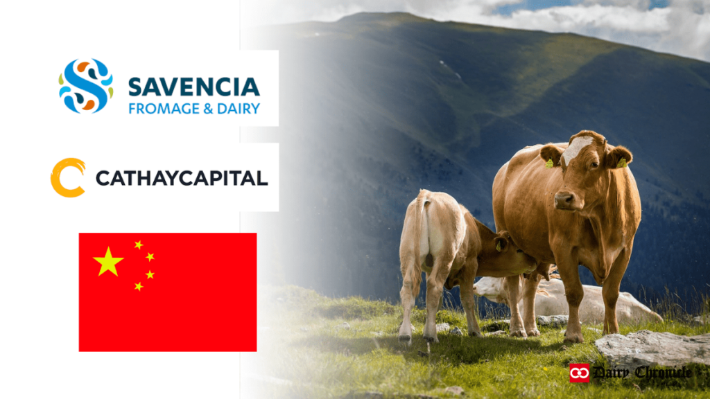 Cathay Capital and Savencia Fromage & Dairy logos with China flag and cow feeding calf