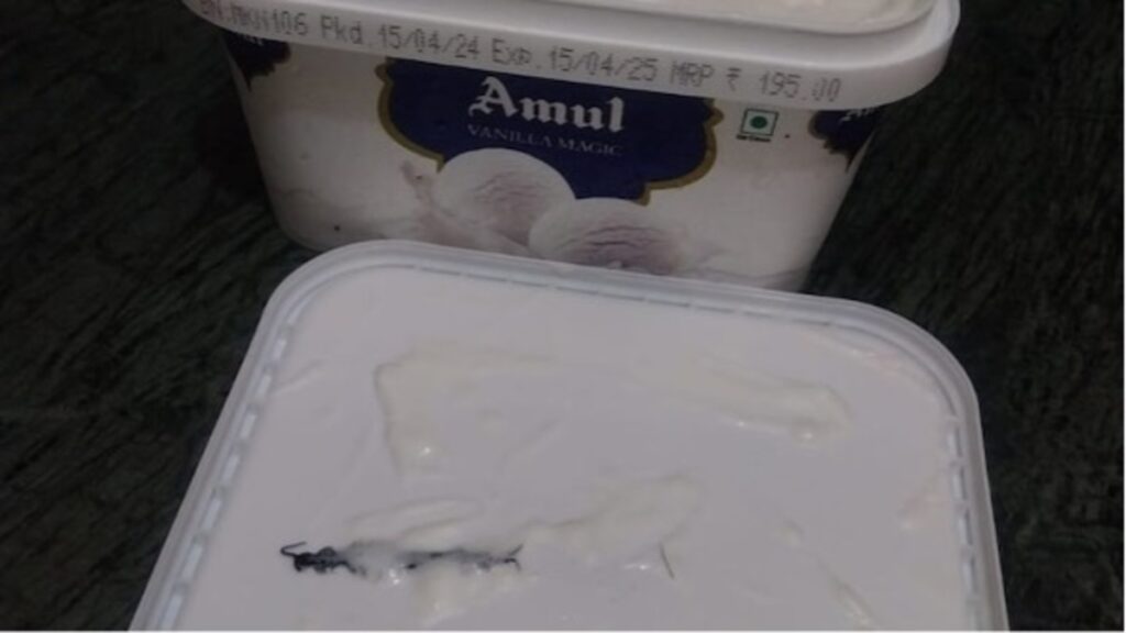 Centipede in Amul ice cream box