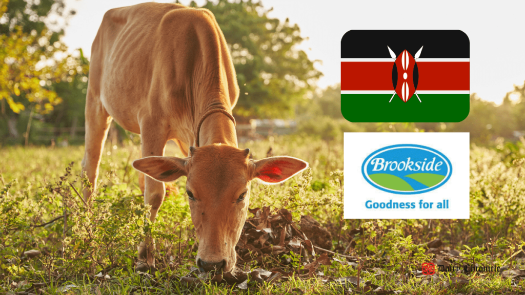 Brookside Uganda logo with a cow feeding on green grass in the background, highlighting the milk import issue between Uganda and Kenya