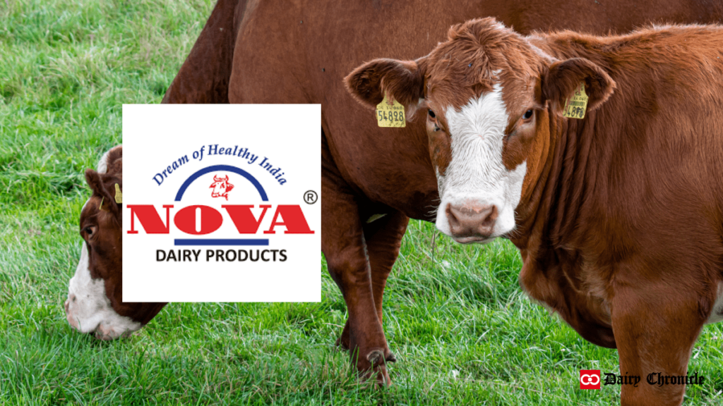 Nova Dairy Product Logo with Two Standing Cows Representing Free-Grazing Practices