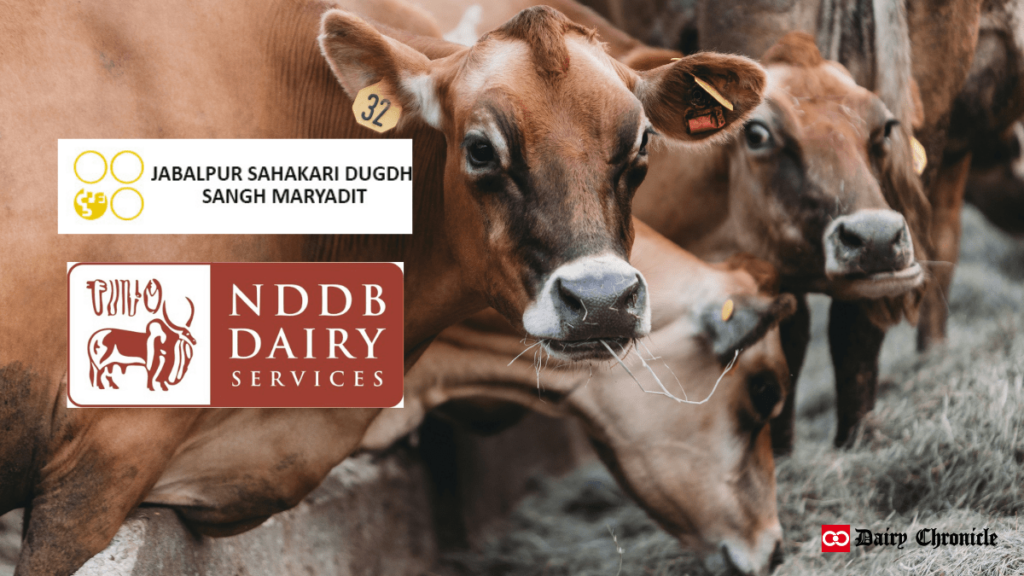 NDDB logo with cows and background image, developing a business plan for Gwalior and Jabalpur milk unions