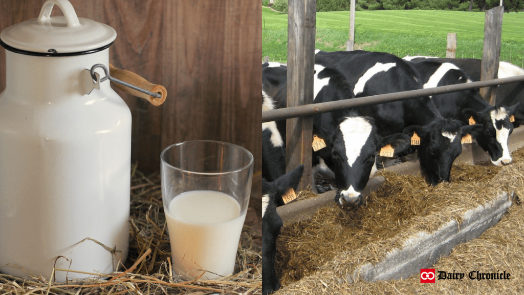 Can and glass of milk with open barn and cows feeding