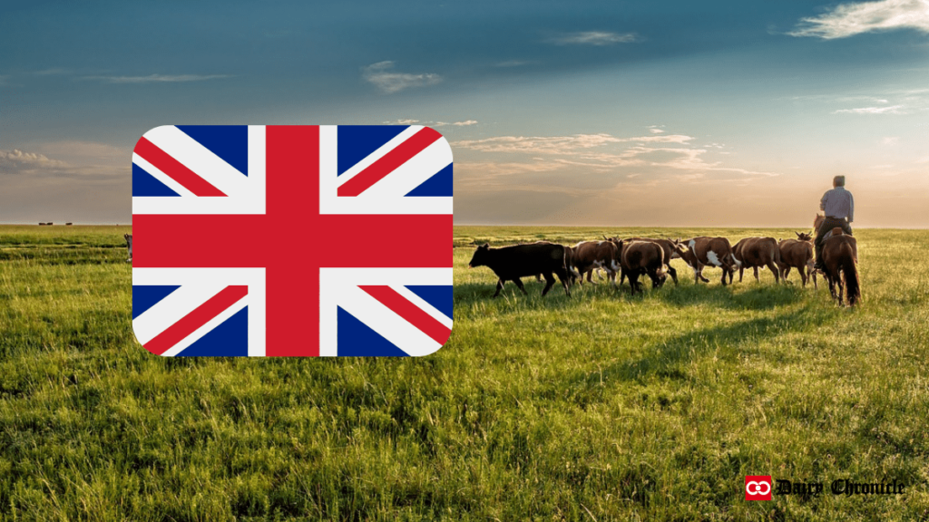 UK flag with dairy cattle grazing on green land and a caretaker on a horse.