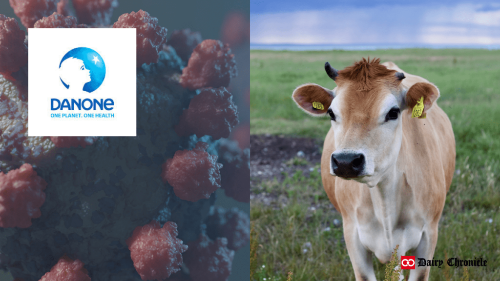 Danone logo with a background of a virus and a cow symbolizing H1 2024 results.