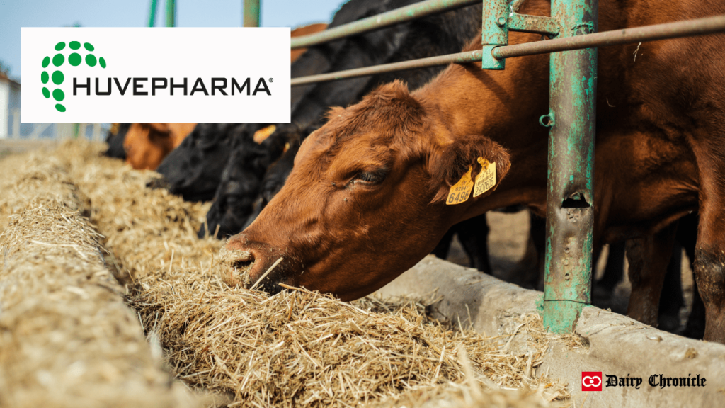 Huvepharma logo with a backdrop of cows, highlighting a partnership with ADM to improve ruminant nutrition.