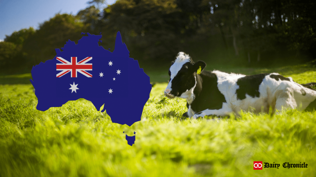 Australian flag with a cow on grass, symbolizing stability in the dairy industry.