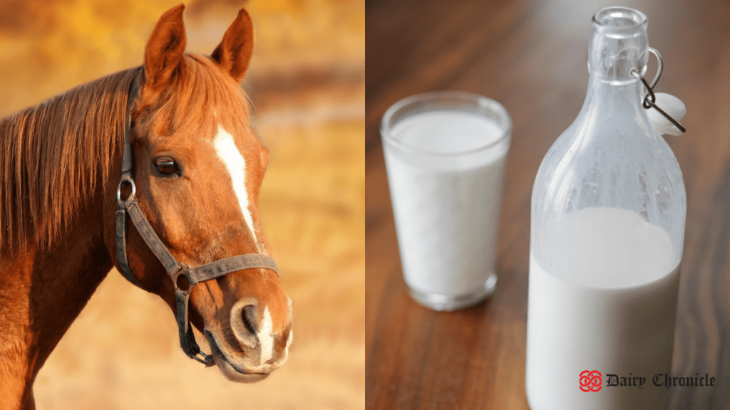 Horse milk with glass and bottle of cow milk