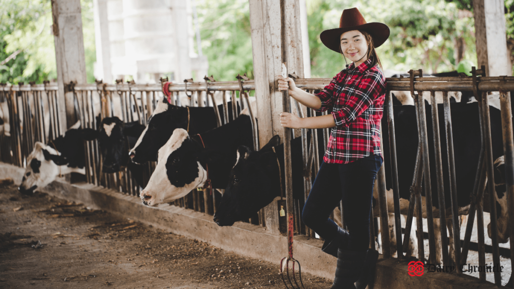 Livestock competition at The Dairy Show with a background of cows.