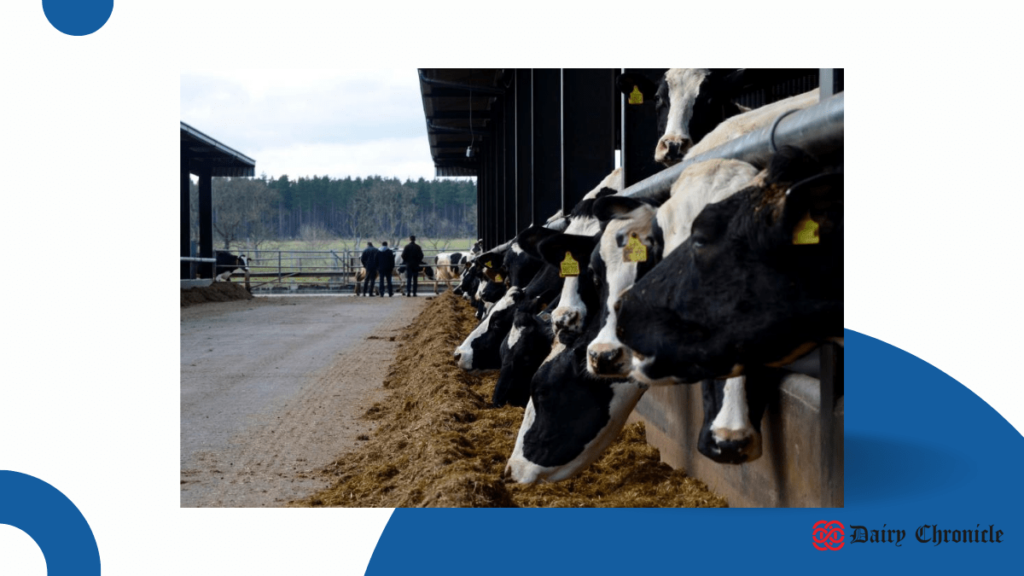 Upgraded Herdtasker app by HerdVision for dairy cattle management