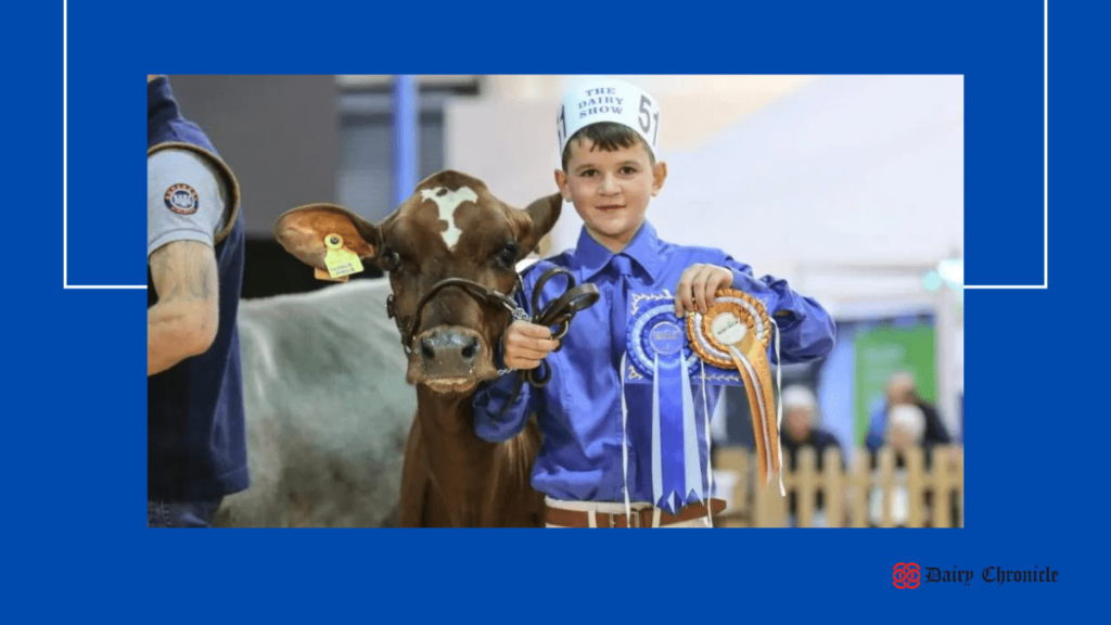 Young boy with medal and cow at The Dairy Show, Bath & West Showground