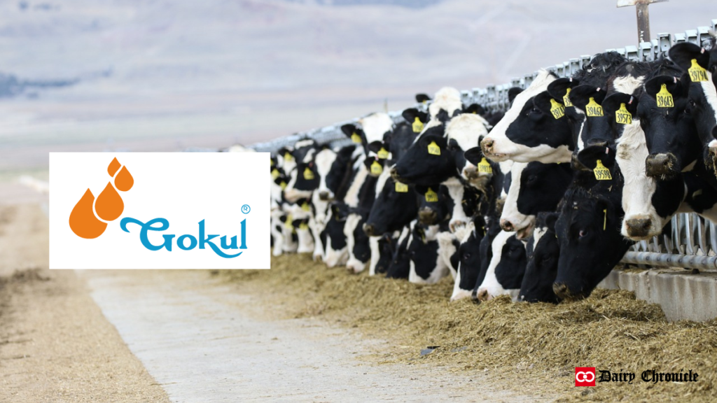 Barn of cows with Gokul Dairy logo