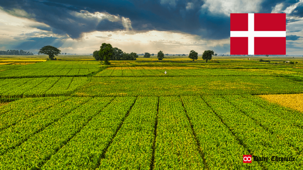 Denmark Green Tripartite with Canada's Flag Beside