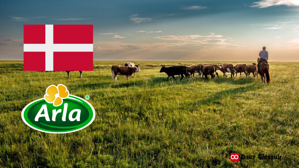 Arla Group logo and Denmark country flag with a group of dairy cattle in the background