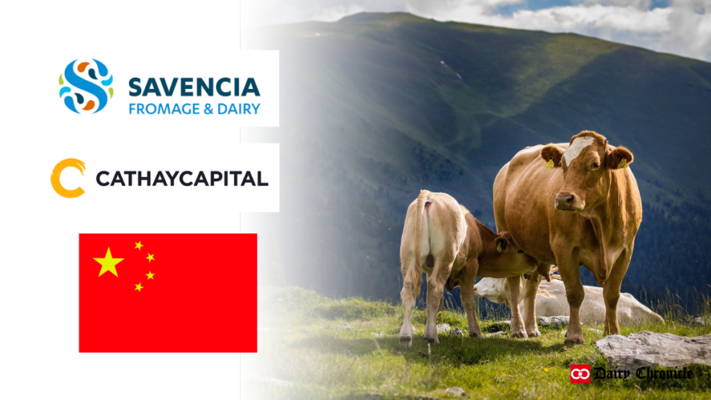 Cathay Capital and Savencia Fromage & Dairy logos with China flag and cow feeding calf