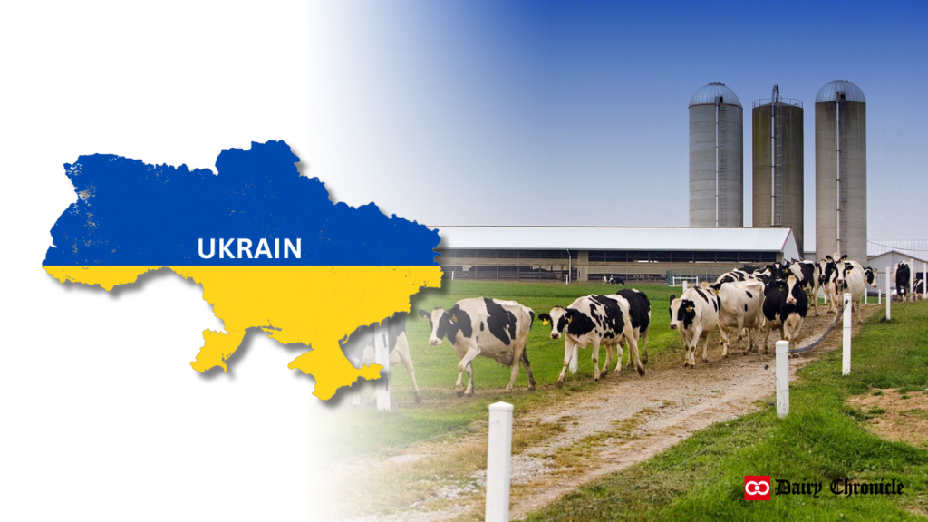 Ukraine flag with cows and dairy farming in the background