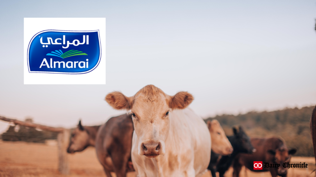 Almarai company logo with a background of dairy cattle