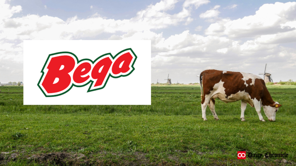 Bega Cheese logo with a cow in a farm background