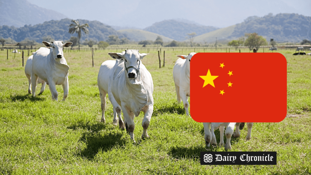 Irish dairy exporters capitalize on China's shift to health products