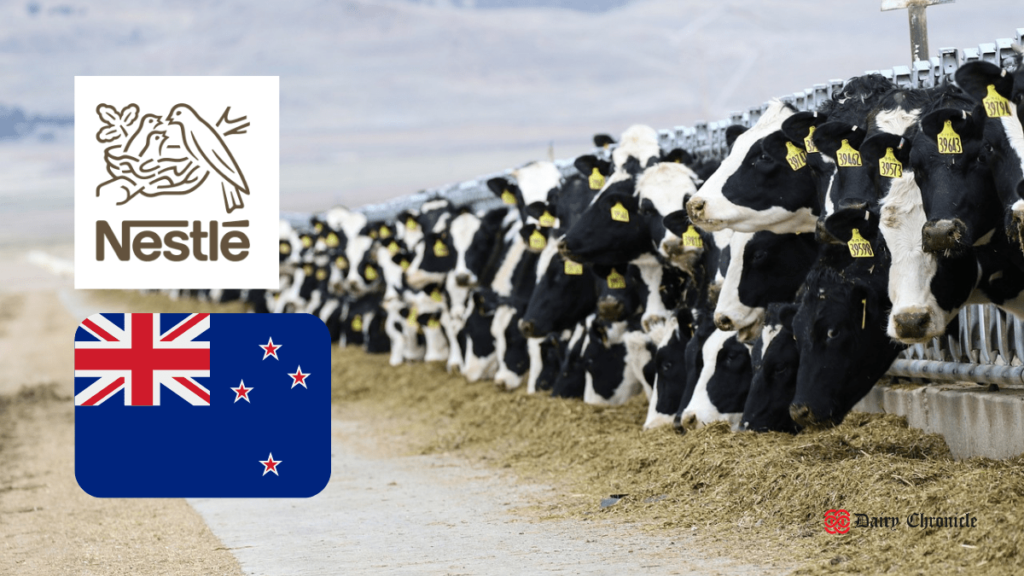 Nestlé urges New Zealand dairy farmers to improve efficiency and reduce emissions, with a backdrop of cows and the New Zealand flag.