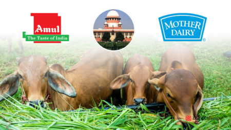 Logos of Amul Dairy and Mother Dairy, with a picture of Delhi High Court and dairy cattle.