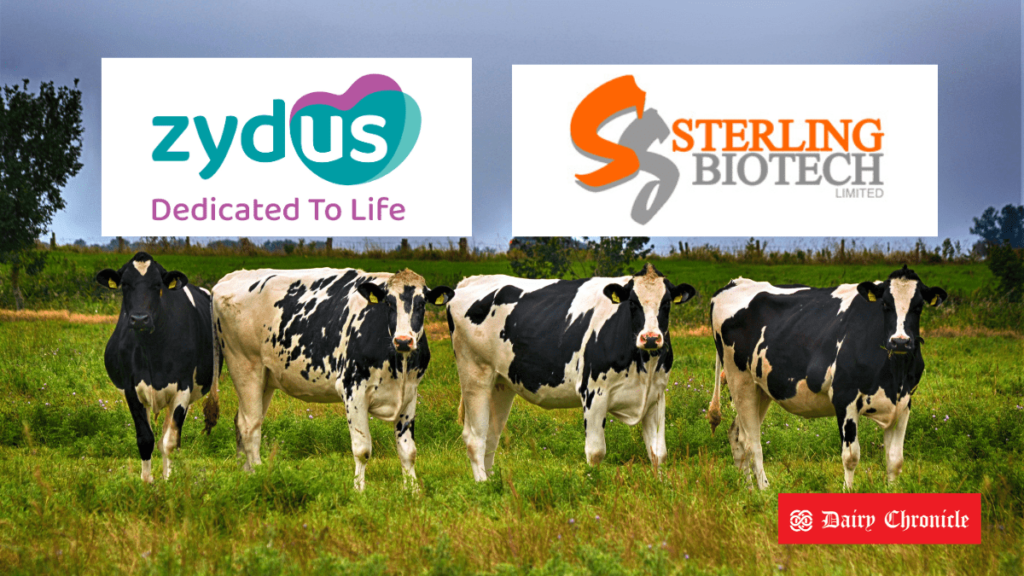 Zydus Lifesciences and Sterling Biotech joint venture for animal-free protein production