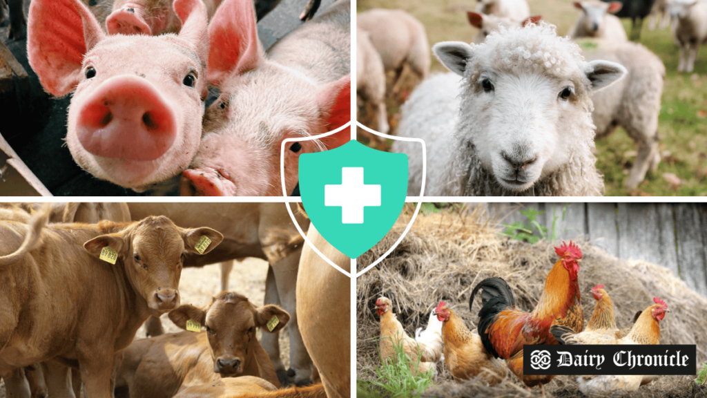 USDA Announces $17.6 Million Funding for Livestock Health Research