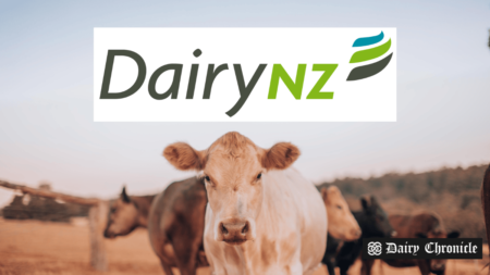 DairyNZ's new strategies for managing Body Condition Score (BCS) to improve dairy herd health and productivity.