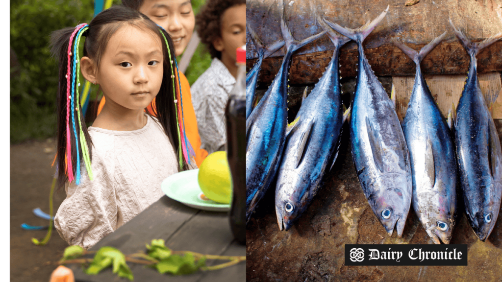 Fish-based milk introduced in Indonesia's free lunch program as an alternative to cow’s milk.