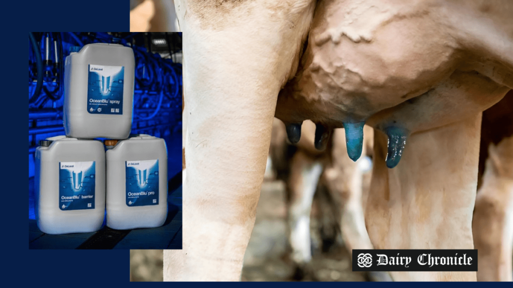 OceanBlu™ wins Gold Award at Elmia Agricultural Innovation Awards for dairy farming spray