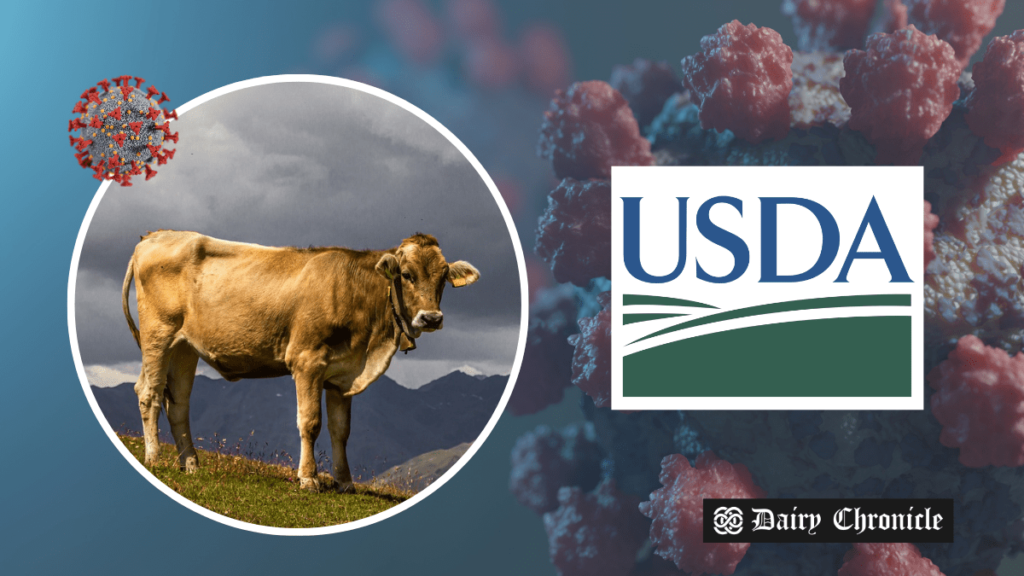 USDA testing dairy cattle for HPAI H5N1 outbreak in California