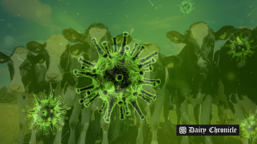 Schmallenberg virus antibodies in dairy herds impacting milk production