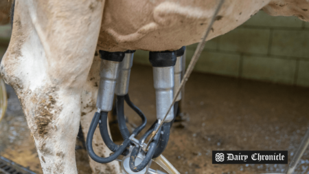 Farm worker cleaning a milking system to ensure milk quality and safety