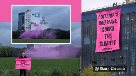 Greenpeace activists protest at Fonterra Te Rapa Dairy Factory over methane emissions, October 9, 2024.