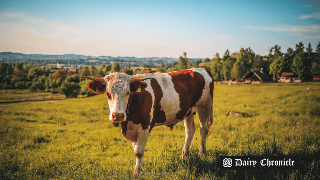 Müller’s acquisition of Yew Tree Dairy following financial struggles, with focus on supporting farmers and boosting growth in the UK dairy industry.