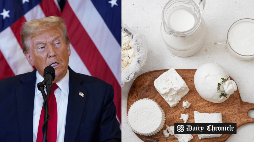 Donald Trump's 2024 election victory impacting the U.S. dairy industry