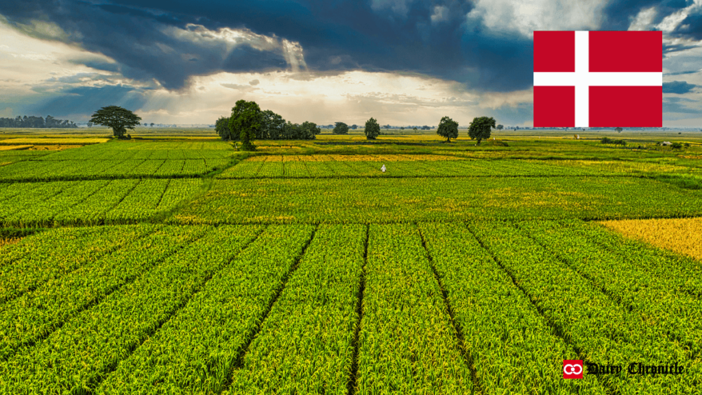 Green agricultural land with the flag of Denmark waving in the background.