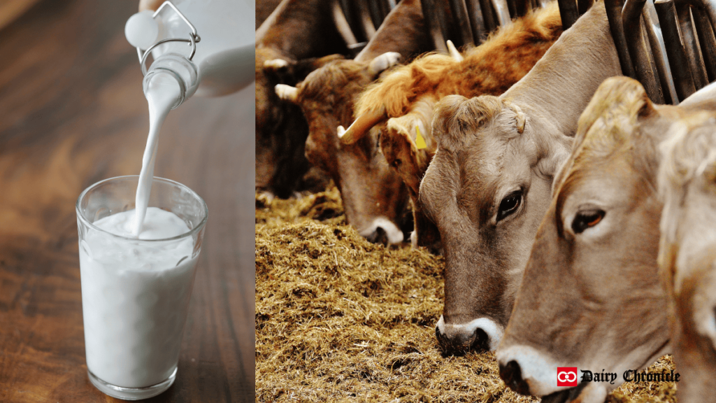 A glass of milk displayed beside a cow barn where cows are being fed