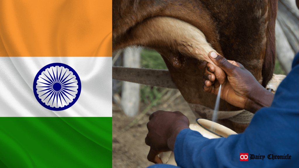 Indian flag displayed with a man manually milking a cow.