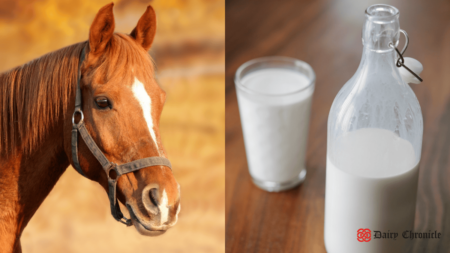 A horse standing beside a full glass and bottle of milk